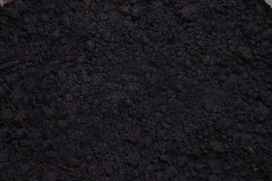 Black Dirt